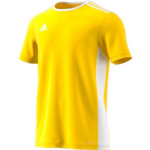 Maglia Calcio Junior ADIDAS ENTRADA 18 JERSEY CD8390