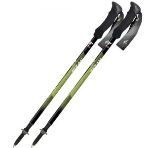 BASTONI TREKKING FIZAN COMPACT 3 100472 GREEN