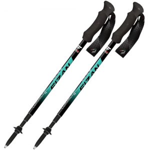 BASTONI TREKKING FIZAN COMPACT 4 100011 WATER GREEN