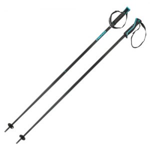 BASTONI SCI HEAD FRONTSIDE 381185