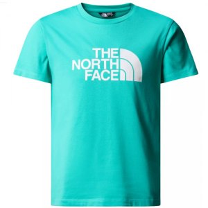 MAGLIETTA T-SHIRT BAMBINO NORTH FACE BOY S/S EASY TEE 87T6PIN