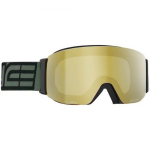 MASCHERA SCI SALICE 102DARWF OTG NERO ORO
