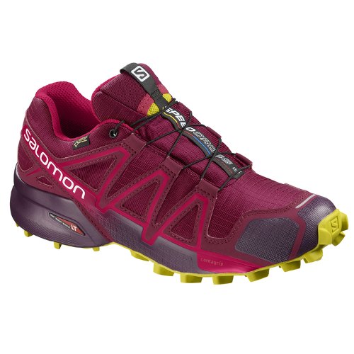 salomon donna goretex