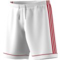 Pantaloncini Calcio Junior ADIDAS SQUAD 17 SHORT BK4762