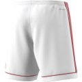 Pantaloncini Calcio Junior ADIDAS SQUAD 17 SHORT BK4762