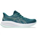 Scarpe Running Donna A3 ASICS GEL CUMULUS 26  WOMAN 1012B599 300