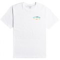 BILLABONG T-SHIRT ARCH FILL C1SS10BIP2 0010 WHITE - Maglietta T-shirt