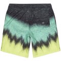 BOARDSHORT BILLABONG RESISTANCE LAYBACKS 19 S1LB08 BIP0 5586