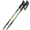 Bastoni Trekking Telescopici FIZAN COMPACT 3 100472 GREEN
