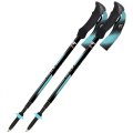 Bastoni Trekking Telescopici FIZAN COMPACT 4 TECH 100477 LIGHT BLUE