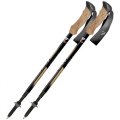 Bastoni Trekking Telescopici FIZAN COMPACT 4 TECH 100478 BEIGE