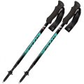Bastoni Trekking Telescopici FIZAN COMPACT 4 100011 WATER GREEN