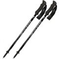 Bastoni Trekking Telescopici FIZAN COMPACT 3 100007 GREY