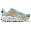 SCARPE TRAIL RUNNING DONNA W CHALLENGER 8 1168717 JDC