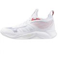 Scarpe Volley Donna MIZUNO WAVE DIMENSION WOS V1GC2240 25