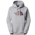 Felpa con Cappuccio Donna THE NORTH FACE DREW PEAK PULLOVER HOODIE NF0A89EHFB3
