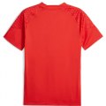 Maglia Calcio PUMA MILAN TRAINING JERSEY 772254 12